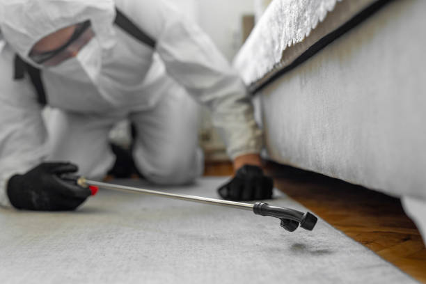 Professional Termite Control technician working in Taylor, MI