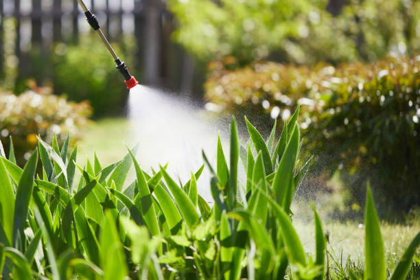 24/7 Emergency Termite Control experts in Taylor, MI